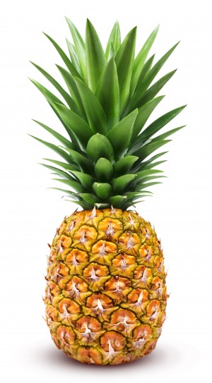 abacaxi 01